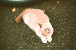 photo_2024-03-25 11.10.53